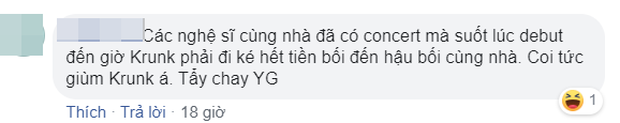 Nghệ sĩ YG còn chịu bất công hơn cả BLACKPINK: Debut đã 3 năm nhưng chưa 1 lần comeback, dự án nào của công ty cũng bị lờ đi - Ảnh 11.