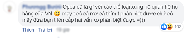 Dịch giả Parasite đau đầu vì từ oppa, fan Việt cà khịa sương sương: Mời anh sang học tiếng nước em! - Ảnh 4.