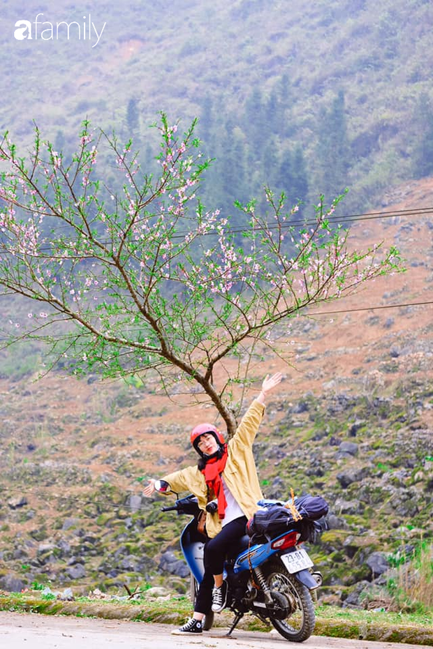 Hà Giang tháng 3 đẹp mê hồn trong mắt cô gái trẻ xứ Thanh, thật khó tin khi 4 loài hoa núi rừng đủ sắc màu cùng nở một lúc - Ảnh 1. Hà Giang tháng 3 đẹp mê hồn trong mắt cô gái trẻ xứ Thanh, thật khó tin khi 4 loài hoa núi rừng đủ sắc màu cùng nở một lúc - Ảnh 1.