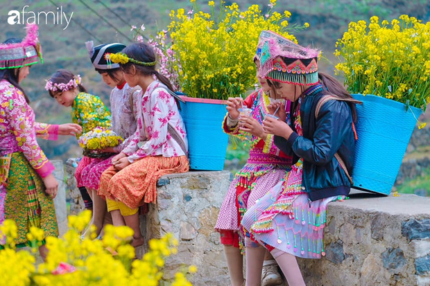 Hà Giang tháng 3 đẹp mê hồn trong mắt cô gái trẻ xứ Thanh, thật khó tin khi 4 loài hoa núi rừng đủ sắc màu cùng nở một lúc - Ảnh 15. Hà Giang tháng 3 đẹp mê hồn trong mắt cô gái trẻ xứ Thanh, thật khó tin khi 4 loài hoa núi rừng đủ sắc màu cùng nở một lúc - Ảnh 15.