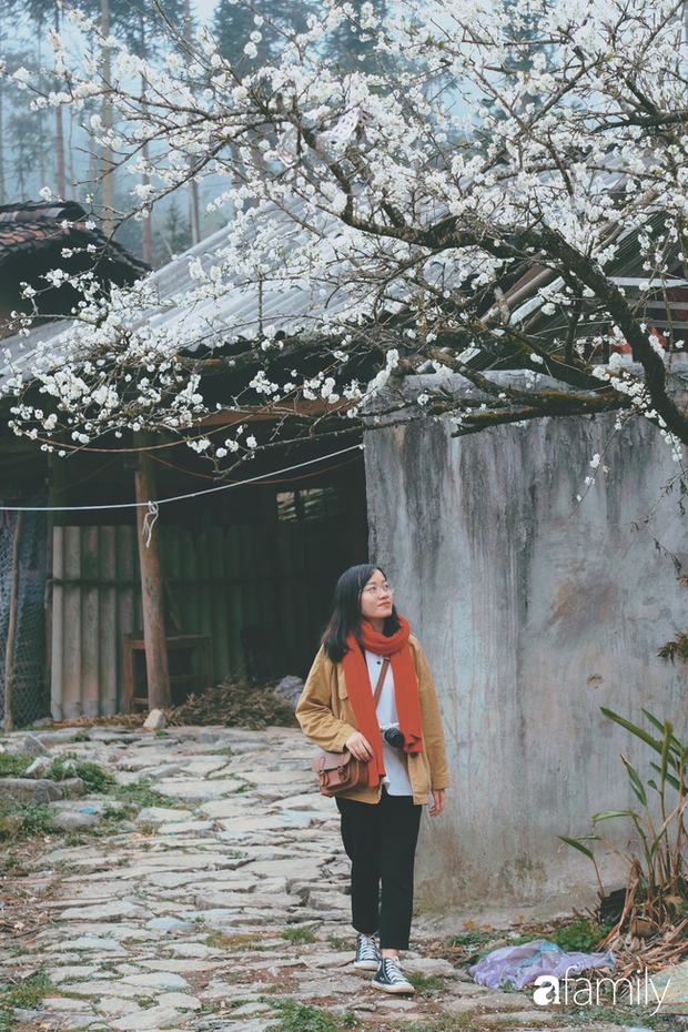 Hà Giang tháng 3 đẹp mê hồn trong mắt cô gái trẻ xứ Thanh, thật khó tin khi 4 loài hoa núi rừng đủ sắc màu cùng nở một lúc - Ảnh 19. Hà Giang tháng 3 đẹp mê hồn trong mắt cô gái trẻ xứ Thanh, thật khó tin khi 4 loài hoa núi rừng đủ sắc màu cùng nở một lúc - Ảnh 19.