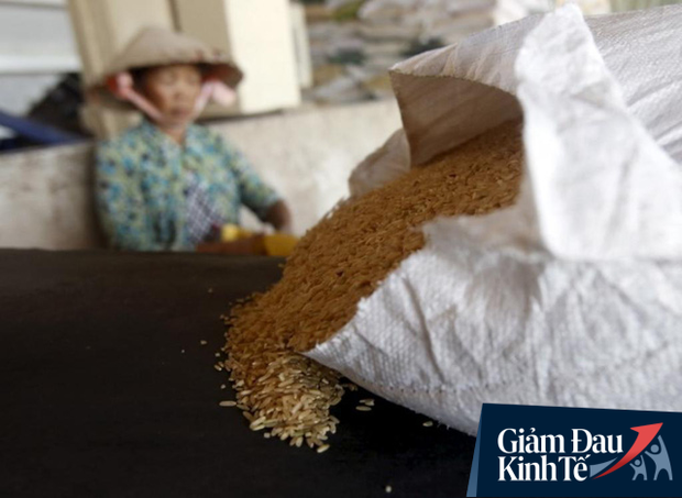 Nói nông dân khổ vì Covid-19 chỉ đúng một phần, vì khổ từ lâu rồi, trước cả hạn mặn, họ đã điêu đứng từ khi có dịch tả lợn! - Ảnh 2. Nói nông dân khổ vì Covid-19 chỉ đúng một phần, vì khổ từ lâu rồi, trước cả hạn mặn, họ đã điêu đứng từ khi có dịch tả lợn! - Ảnh 2.