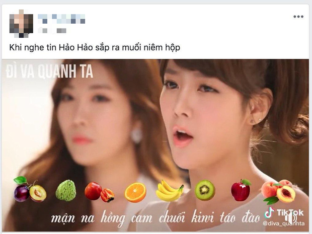 Cư dân mạng phát sốt vì Hảo Hảo bán riêng muối chấm tôm chua cay, T-Ara và Davichi cũng không nằm ngoài khi cảm thán bằng cả một bài hát! - Ảnh 5.