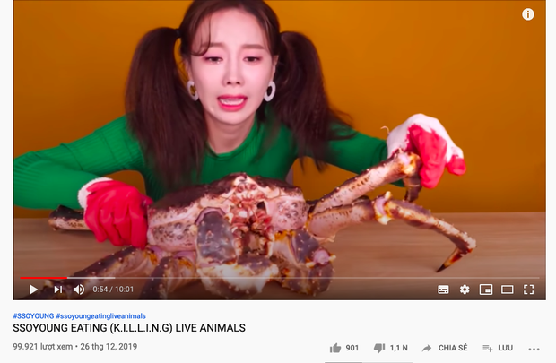 “Thánh ăn Hàn Quốc” Ssoyoung khiến nhiều YouTuber nổi tiếng phẫn nộ vì hành hạ động vật sống, có người còn yêu cầu cô xoá luôn kênh 3,45tr subscribes - Ảnh 16.