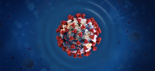 Nhà văn khoa học mô tả tường tận quá trình virus corona lây nhiễm, tấn công người bệnh - Ảnh 4.