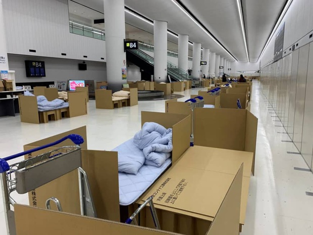 Hành khách đến Nhật Bản phải ngủ trong thùng các-tông ở sân bay với điều kiện đáng lo ngại trong lúc chờ xét nghiệm Covid-19 Npfile6404-870x653-15873057219801003913810