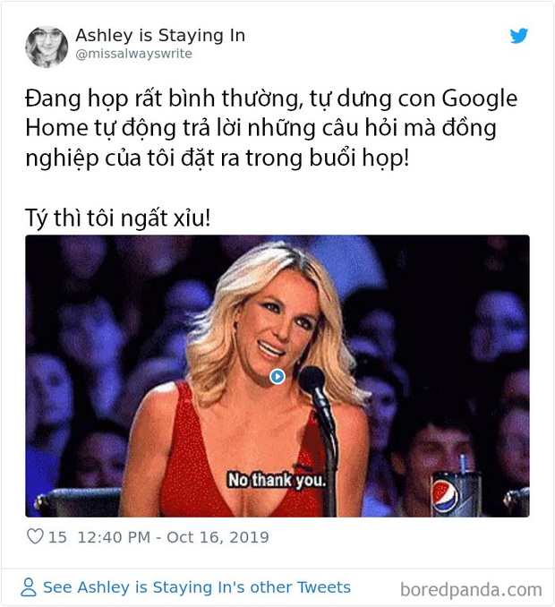 Những chuyện giời ơi đất hỡi của cư dân mạng thế giới khi làm việc online tại nhà trong mùa dịch COVID-19 - Ảnh 1.