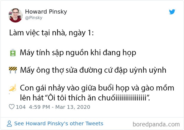 Những chuyện giời ơi đất hỡi của cư dân mạng thế giới khi làm việc online tại nhà trong mùa dịch COVID-19 - Ảnh 4.