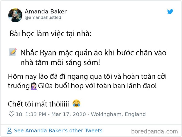 Những chuyện giời ơi đất hỡi của cư dân mạng thế giới khi làm việc online tại nhà trong mùa dịch COVID-19 - Ảnh 6.
