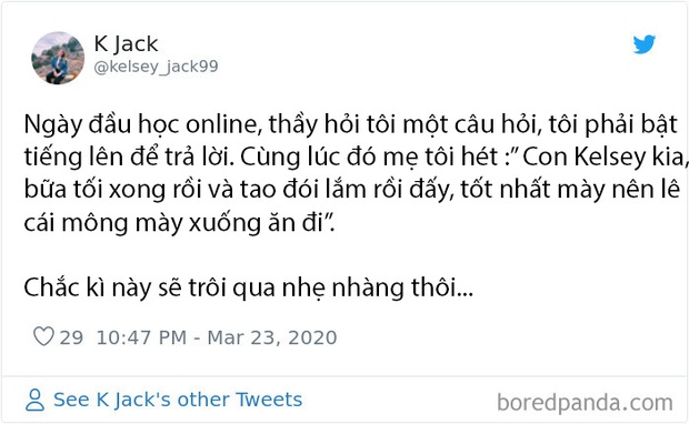 Những chuyện giời ơi đất hỡi của cư dân mạng thế giới khi làm việc online tại nhà trong mùa dịch COVID-19 - Ảnh 13.