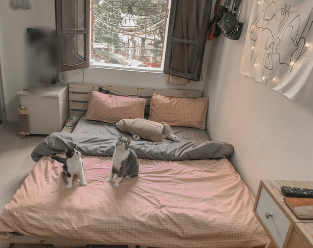 Gái xinh biến phòng trọ dột nát, tường mốc bong tróc thành nơi chill hết nấc: Sáng dậy thấy nhà như homestay thì hạnh phúc lắm! - Ảnh 3. Gái xinh biến phòng trọ dột nát, tường mốc bong tróc thành nơi chill hết nấc: Sáng dậy thấy nhà như homestay thì hạnh phúc lắm! - Ảnh 3.