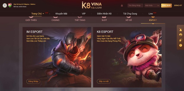 Nóng: Game thủ Dota 2 mất trắng 100 triệu vì cá độ, web lừa đảo liên quan đến nhân vật có số má trong cộng đồng - Ảnh 1.