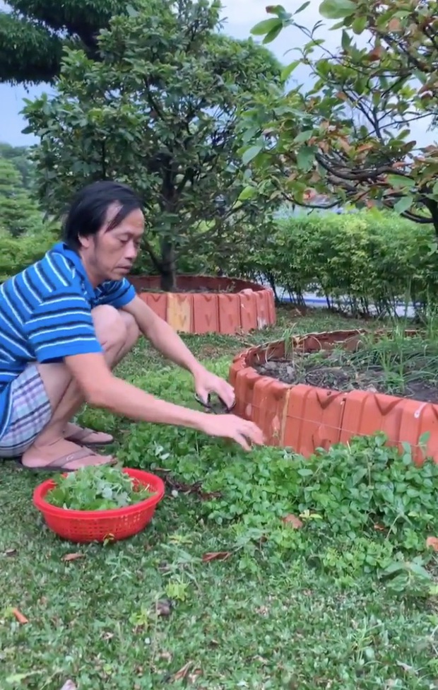 Nghệ sĩ Hoài Linh da hiện rõ 2 màu đen trắng sau 4 tháng làm nông tránh dịch, có một điều thay đổi đáng mừng - Ảnh 3.