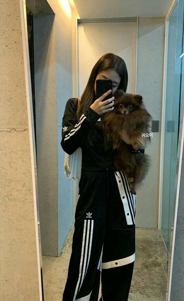 Jennie (BLACKPINK) đúng là nữ hoàng selfie của Kbiz: Muôn hình vạn trạng, đạt đến level cứ up hình đều gây bão - Ảnh 18.