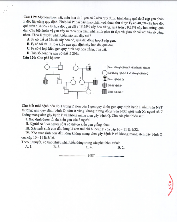 Đề thi minh họa THPT Quốc gia năm 2020 Môn Sinh học - Ảnh 4.