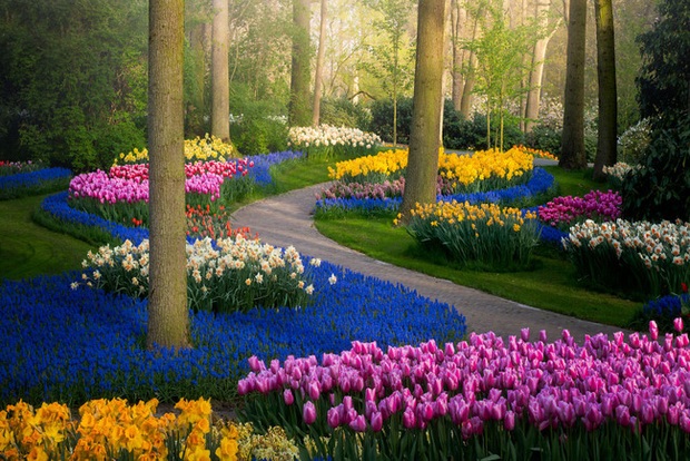Vườn hoa đẹp nhất thế giới đóng cửa sau 71 năm, nhiếp ảnh gia tò mò muốn vào bên trong thì choáng ngợp với cảnh tượng trước mắt Photo-2-1588249765436543125945