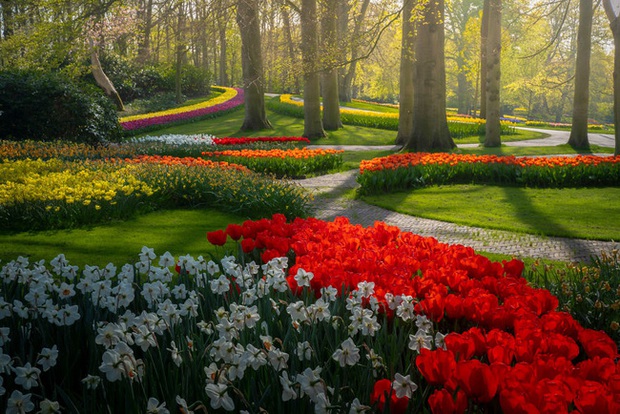 Vườn hoa đẹp nhất thế giới đóng cửa sau 71 năm, nhiếp ảnh gia tò mò muốn vào bên trong thì choáng ngợp với cảnh tượng trước mắt Photo-22-15882497654721066177308
