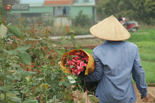 “Thủ phủ” hoa tại Hà Nội nở rộ giữa dịch COVID-19: Tưởng thắng vụ mà thành bại, hoa cười nhưng người khóc - Ảnh 9.