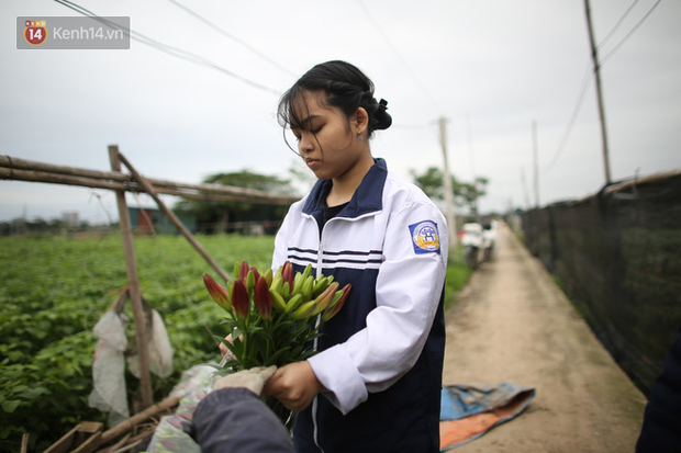 “Thủ phủ” hoa tại Hà Nội nở rộ giữa dịch COVID-19: Tưởng thắng vụ mà thành bại, hoa cười nhưng người khóc - Ảnh 13.