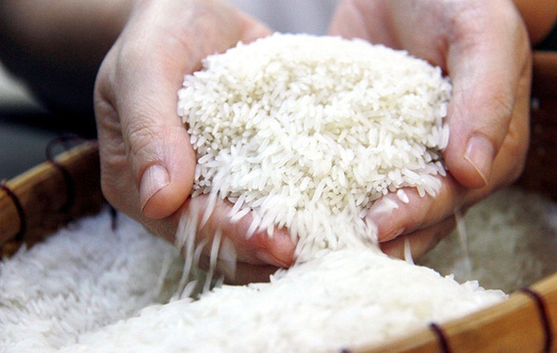 Mua gom gạo, thóc để đầu cơ có thể bị truy cứu trách nhiệm hình sự - Ảnh 1. Mua gom gạo, thóc để đầu cơ có thể bị truy cứu trách nhiệm hình sự - Ảnh 1.