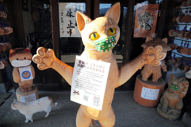 Ngôi đền đặc biệt ở Nhật Bản được mệnh danh là Đền Mèo, trụ trì tự tay làm khẩu trang cho hàng trăm chú mèo gỗ từ tã lót trẻ em - Ảnh 8.