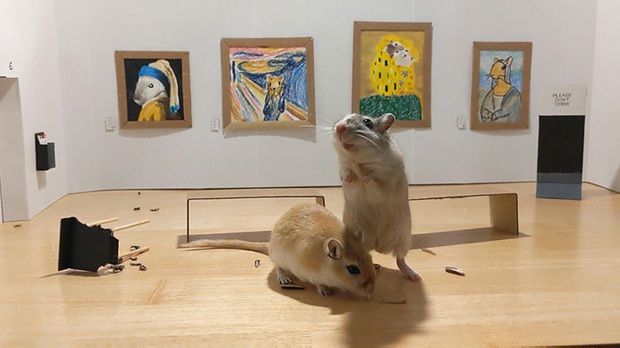 Sen có tâm nhất mùa Covid-19: thiết kế hẳn bảo tàng tranh mini cho chuột cưng, có đủ Mona Lisa, Tiếng Thét và nhiều danh tác khác - Ảnh 1.