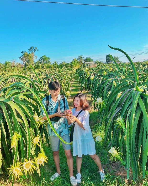 12 tháng đi hết Việt Nam: Bản đồ du lịch hoàn hảo dành cho những ai ngứa chân lắm rồi nhưng chưa biết đi đâu!  - Ảnh 13.