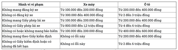 Những loại giấy tờ cần mang theo để không bị phạt khi CSGT dừng xe kiểm tra - Ảnh 2.