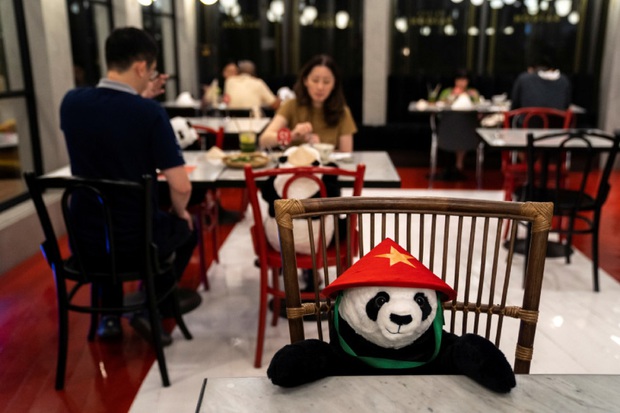 Sợ thực khách cô đơn trong mùa dịch, nhà hàng Việt nghĩ ra tuyệt chiêu hay ho khiến nhiều trang báo quốc tế đồng loạt đưa tin - Ảnh 1.