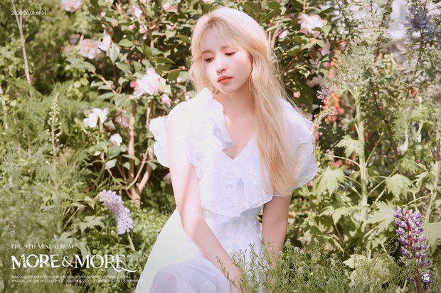 Bộ ảnh teaser nhóm của TWICE xinh lung linh nhưng nghi ngờ Jeongyeon có điều bí ẩn khi chung team ảnh dọc với 2 thành viên hẹn hò? - Ảnh 11. Bộ ảnh teaser nhóm của TWICE xinh lung linh nhưng nghi ngờ Jeongyeon có điều bí ẩn khi chung team ảnh dọc với 2 thành viên hẹn hò? - Ảnh 11.