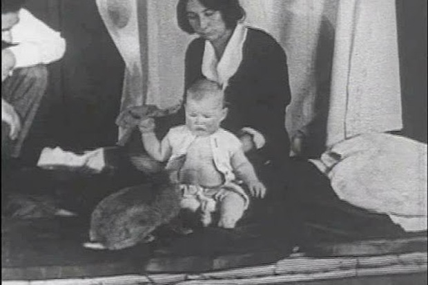 Albert bé nhỏ: Thí nghiệm tâm lý phi đạo đức thực hiện trên đứa trẻ 8 tháng tuổi gây ra nhiều tranh cãi nhất trong lịch sử nghiên cứu - Ảnh 4. Albert bé nhỏ: Thí nghiệm tâm lý phi đạo đức thực hiện trên đứa trẻ 8 tháng tuổi gây ra nhiều tranh cãi nhất trong lịch sử nghiên cứu - Ảnh 4.