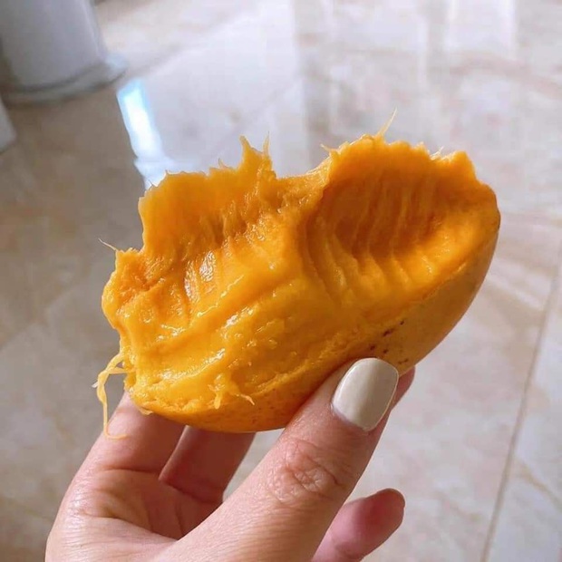 Làm kẹp tóc từ... hột xoài tặng bạn thân: Nghe tiết kiệm nhưng dân tinh ý liền chỉ ra một chi tiết khiến chủ nhân ý tưởng lỗ nặng - Ảnh 1. Làm kẹp tóc từ... hột xoài tặng bạn thân: Nghe tiết kiệm nhưng dân tinh ý liền chỉ ra một chi tiết khiến chủ nhân ý tưởng lỗ nặng - Ảnh 1.