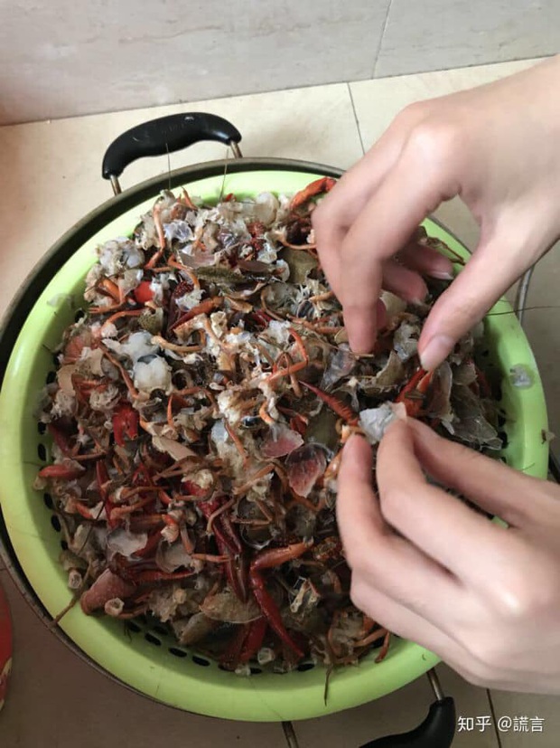 Rửa tôm bằng máy giặt theo clip mẹo vặt trên mạng, hai vợ chồng ngẩn tò te vì cái kết đau điếng lòng - Ảnh 3. Rửa tôm bằng máy giặt theo clip mẹo vặt trên mạng, hai vợ chồng ngẩn tò te vì cái kết đau điếng lòng - Ảnh 3.
