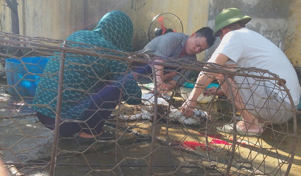 Đề nghị cấm giết mổ, tiêu thụ thịt chó mèo: Chủ các lò mổ nói gì? - Ảnh 1.