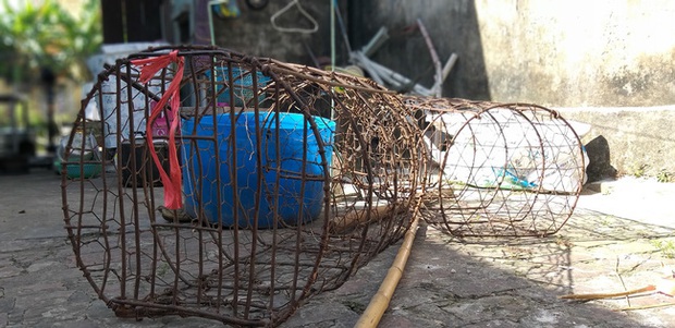 Đề nghị cấm giết mổ, tiêu thụ thịt chó mèo: Chủ các lò mổ nói gì? - Ảnh 8.