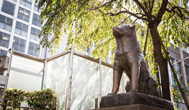 Chính quyền thành phố Tokyo yêu cầu người dân không đeo khẩu trang cho tượng chó Hachiko - Ảnh 1.