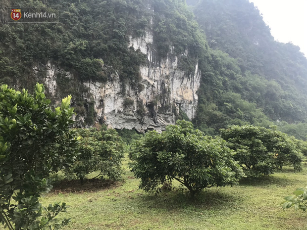 Vụ nghi vấn mẹ ôm 3 bé gái nhỏ tự tử: “Chồng nó nhìn thấy vợ bế các con đi nhưng tưởng sang nhà bà ngoại chơi, ai ngờ…” - Ảnh 1.