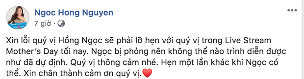 Ca sĩ Hồng Ngọc khiến cả dàn sao Việt lo lắng vì bị bỏng do nổ nồi xông hơi, phải hủy show diễn ngay phút chót  - Ảnh 2.