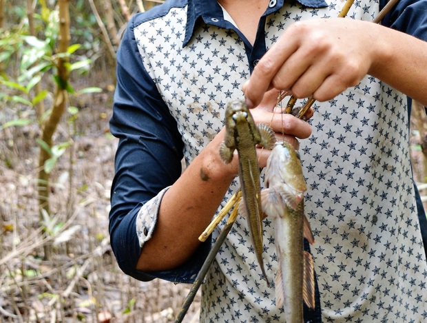 Vietnam tiene una especie de pez que puede trepar a los árboles, correr y saltar y también es una especialidad famosa de toda la región - Foto 4.