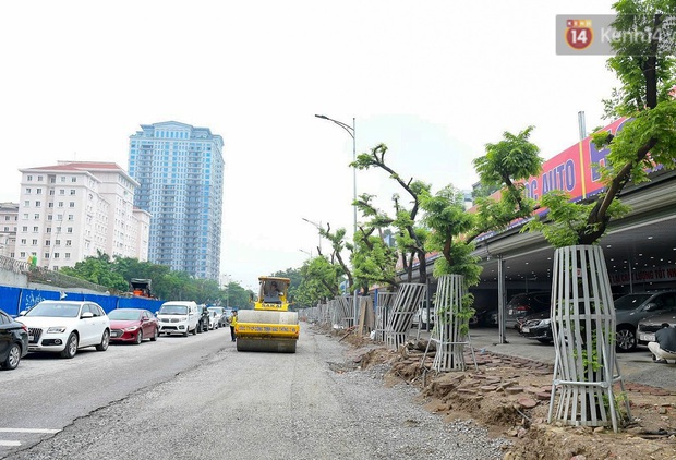 Hàng cây sưa đỏ trên đường Nguyễn Văn Huyên được “mặc áo giáp”, lắp camera theo dõi để chống trộm - Ảnh 2.