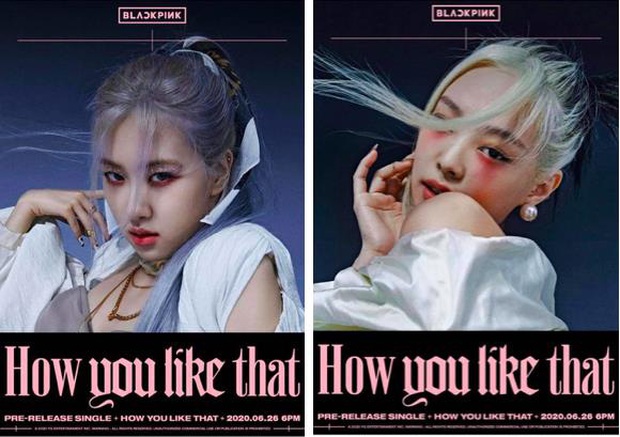 Vừa mới tung poster cực chất, BLACKPINK đã bị cộng đồng troll không thương tiếc chỉ vì một ứng dụng mới! - Ảnh 1.