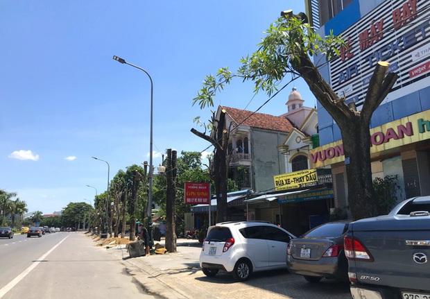 Hàng loạt cây xanh ở thành phố Vinh bị cắt trụi trong nắng nóng đỉnh điểm - Ảnh 5.
