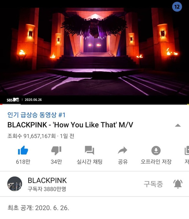 BLACKPINK vừa lập kỉ lục view thế giới với How You Like That thì lập tức bị YouTube trừ view thẳng tay, may là con số này không nhiều như BTS - Ảnh 3.