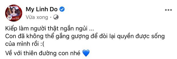 Đỗ Mỹ Linh, Lương Thuỳ Linh xót xa khi hay tin em bé bị bỏ rơi ở hố gas đã qua đời: Về với thiên đường con nhé! - Ảnh 3.