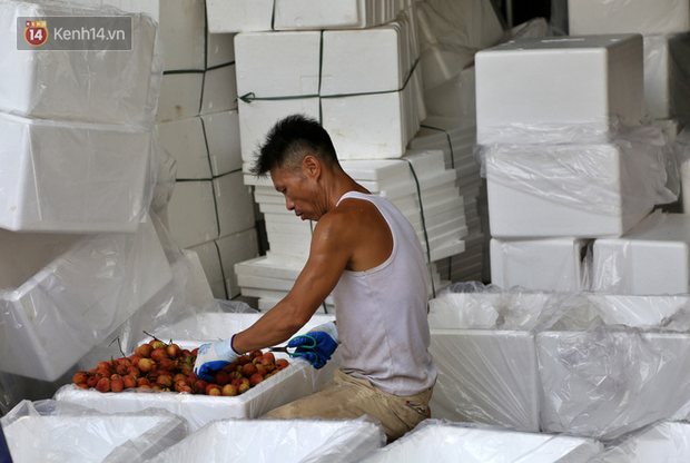 Mùa vải thiều Bắc Giang, kiếm bạc triệu mỗi ngày từ nghề “cửu vạn”: “Có những đợt tôi thức xuyên mấy ngày đêm bốc vác vải, cũng vì miếng cơm gia đình” - Ảnh 2.