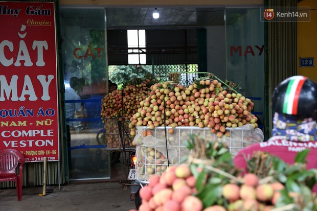 Người dân Bắc Giang tấp nập đi bán vải thiều chín mọng: “Chăm sóc cả năm chỉ chờ ngày này - Ảnh 6.