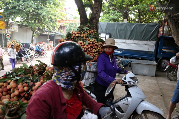 Người dân Bắc Giang tấp nập đi bán vải thiều chín mọng: “Chăm sóc cả năm chỉ chờ ngày này - Ảnh 7.