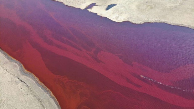 Dòng sông Bắc Cực bỗng nhuộm màu đỏ rực như máu, và lý do đằng sau sẽ khiến bạn cảm thấy đau lòng - Ảnh 1.