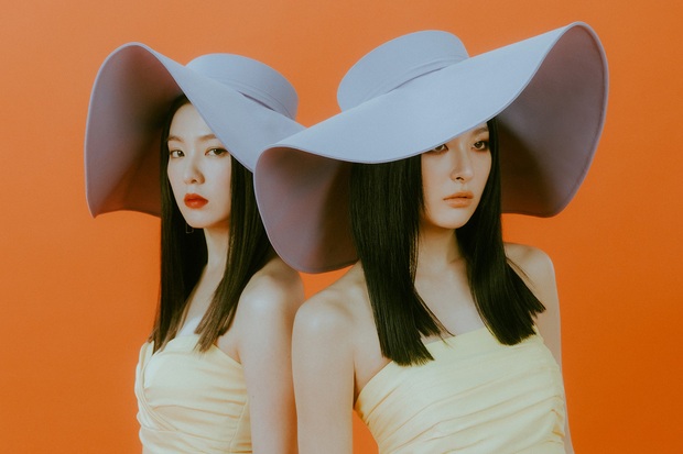 Irene & Seulgi tung teaser mà cứ ngỡ quảng cáo dầu gội hay thuốc nhuộm, concept song sinh khiến netizen lú lẫn phân biệt 2 thành viên - Ảnh 12.