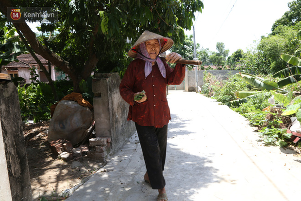 Cụ bà gần 90 tuổi ở Hà Nội hàng ngày đi cấy, đan lưới làm thú vui tao nhã: “Các cháu chưa chắc đã khoẻ bằng tôi” - Ảnh 1. Cụ bà gần 90 tuổi ở Hà Nội hàng ngày đi cấy, đan lưới làm thú vui tao nhã: “Các cháu chưa chắc đã khoẻ bằng tôi” - Ảnh 1.